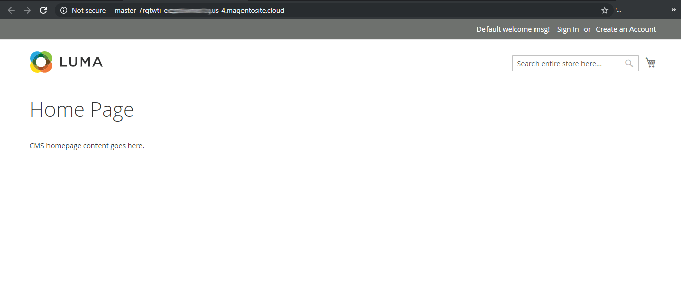 Magento homepage screen